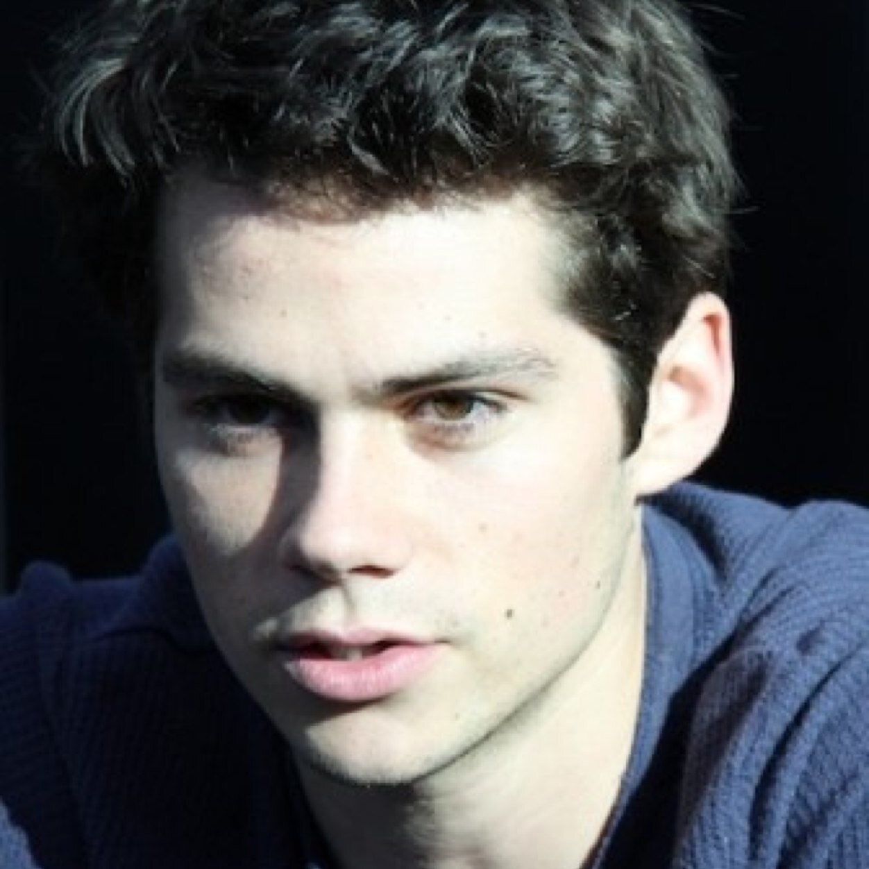Twitter page dedicated to following the career of Dylan O'Brien, a very talented actor who is destined for great things.