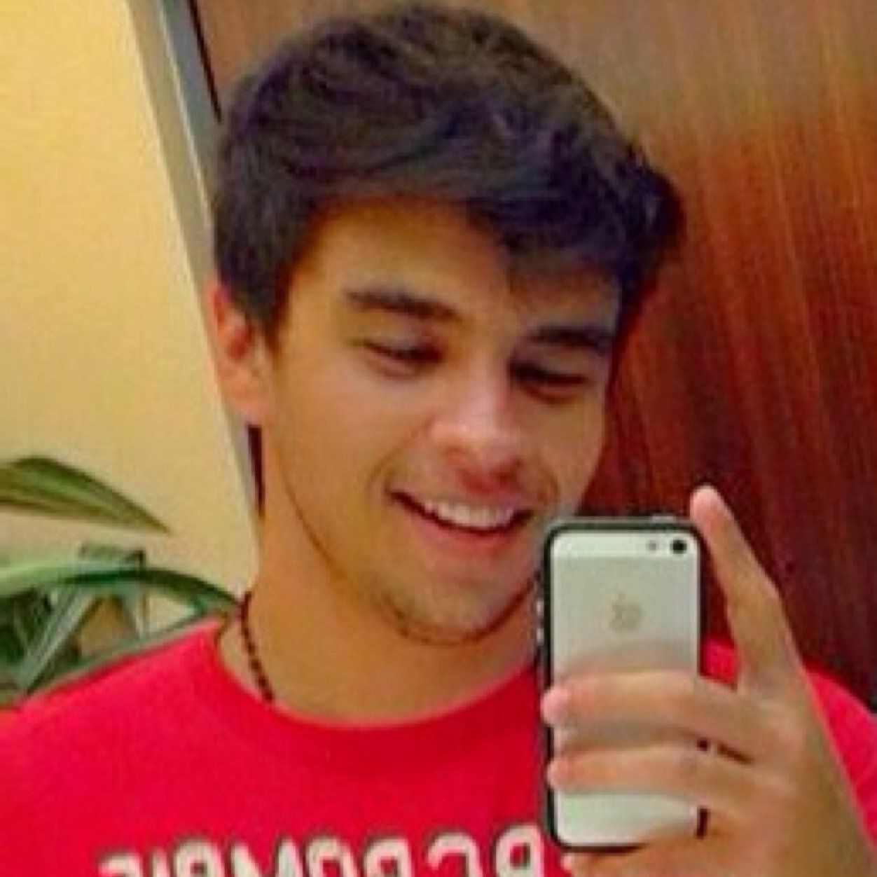 whats app: 982509818