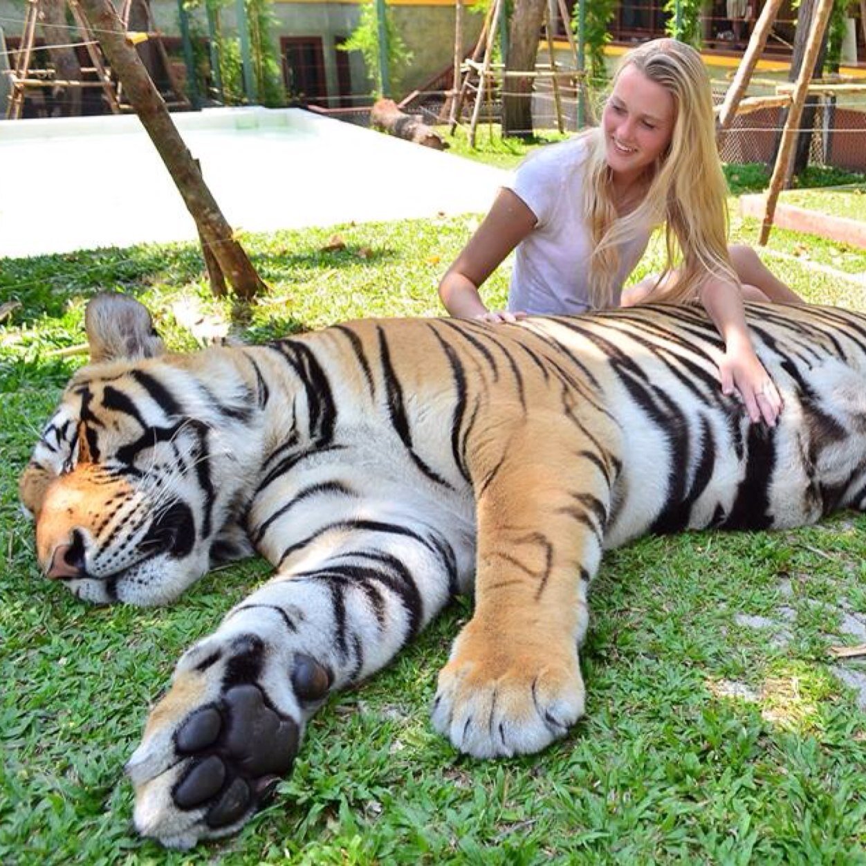 bkswright's profile picture. 