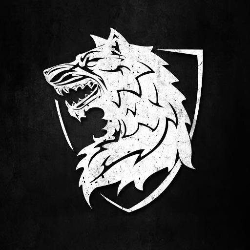 Bad Wolf Ops is a mobile laser tag unit designed to give you an exciting experience with the latest laser tag technology. Live the Battle, Unleash the Beast!