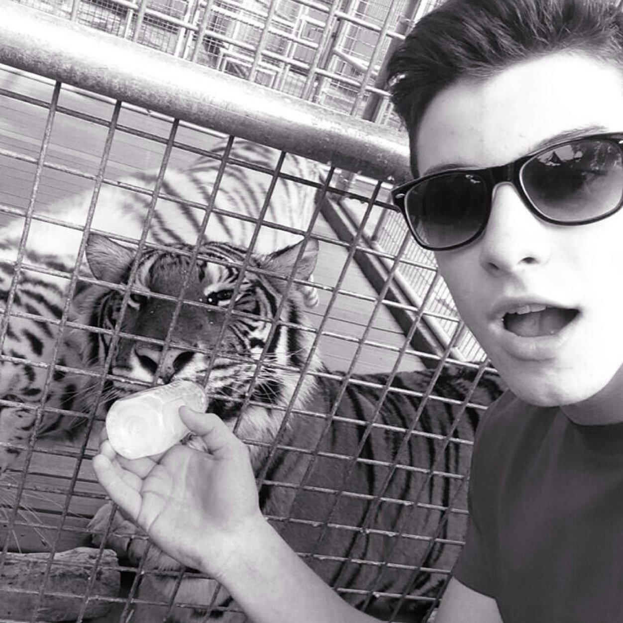 follow @mistymendes bc she gave you a free follow. tyy ily ((she'll normally follow back if you ask))
