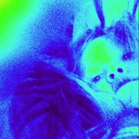 greg (@hd_hippy) 's Twitter Profile