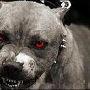 Angel Carmona S - @AngelEdCarmona - Twitter