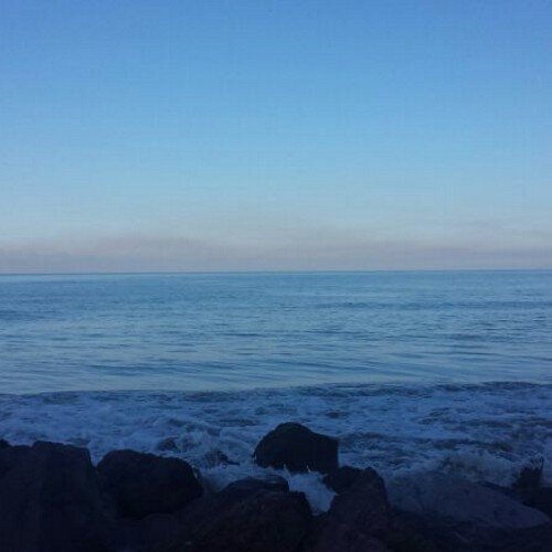 eliruelas's profile picture. 