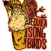 Tequila Songbirds (@songbirdsok) Twitter profile photo