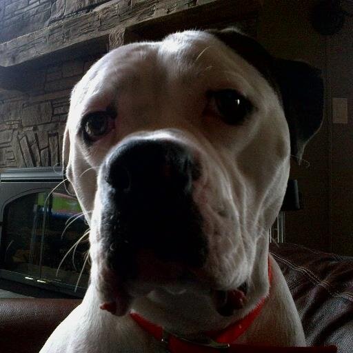 MrMagoo1973's profile picture. 