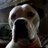 MrMagoo1973's profile image