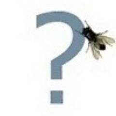 carddinerza's profile picture. Кто То в интернете.