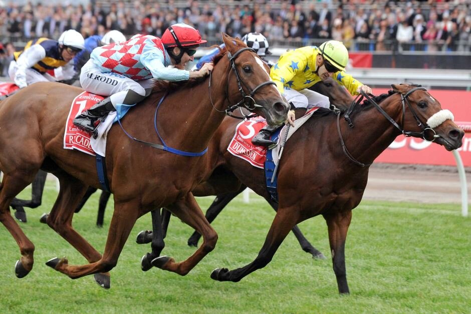 Horse Racing Form Analyst and Tipster