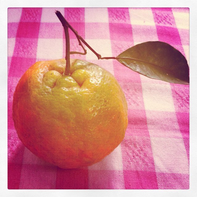 ArtSal3's profile picture. Need no introduction