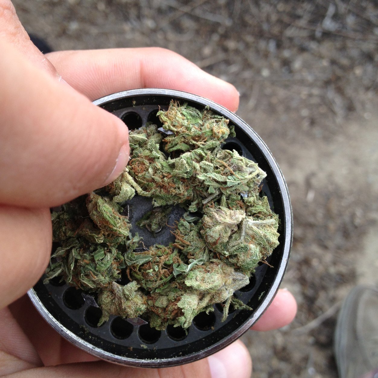 Infinite potential in cannabis. Follow @stoneezlighters for the livestrong product for hemp advocation. #smokeright