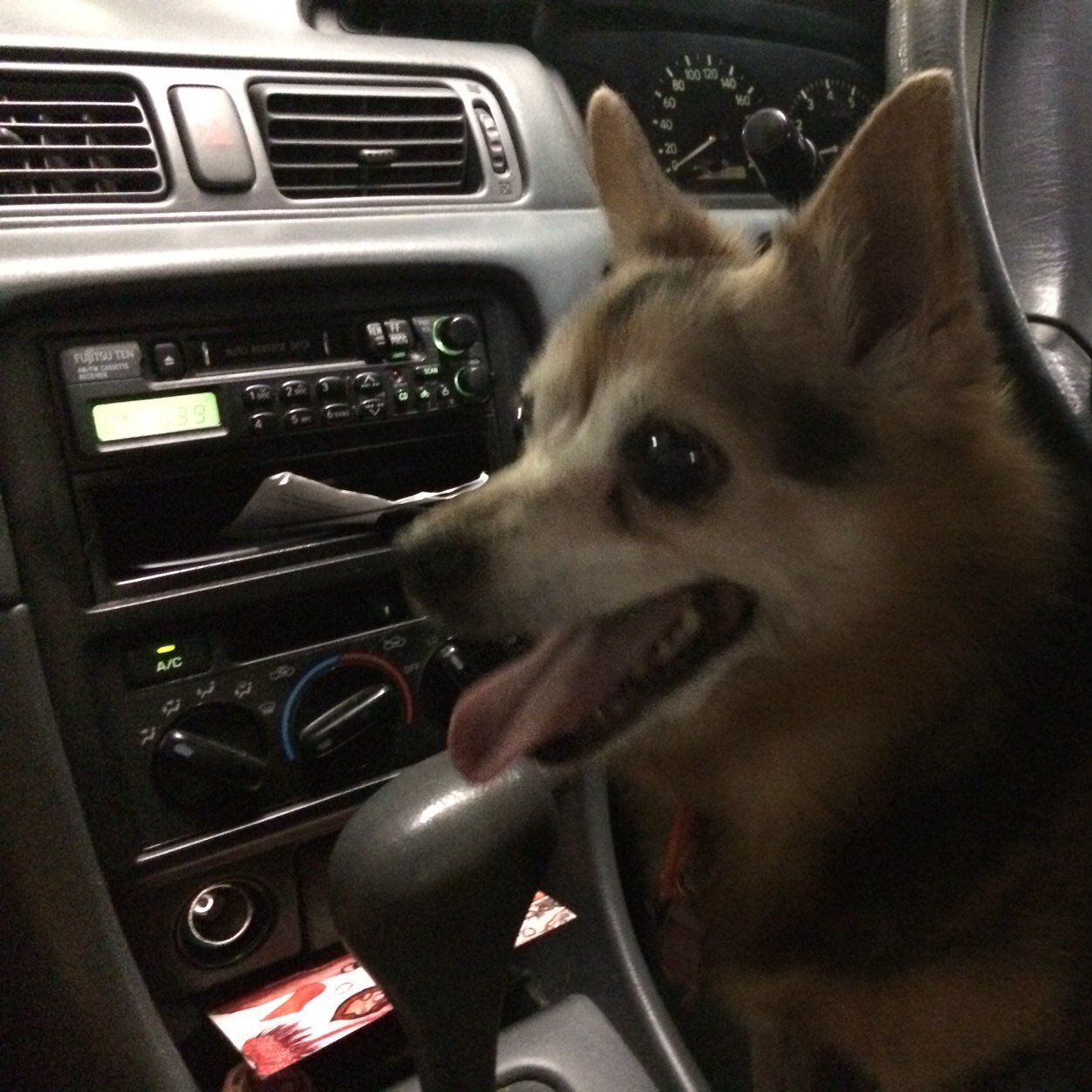 reonareaper's profile picture. Ruff | Celia | Part QA Analyst, Part Self Analyst