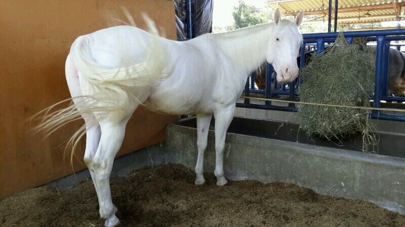 VAFUPE's profile picture. 