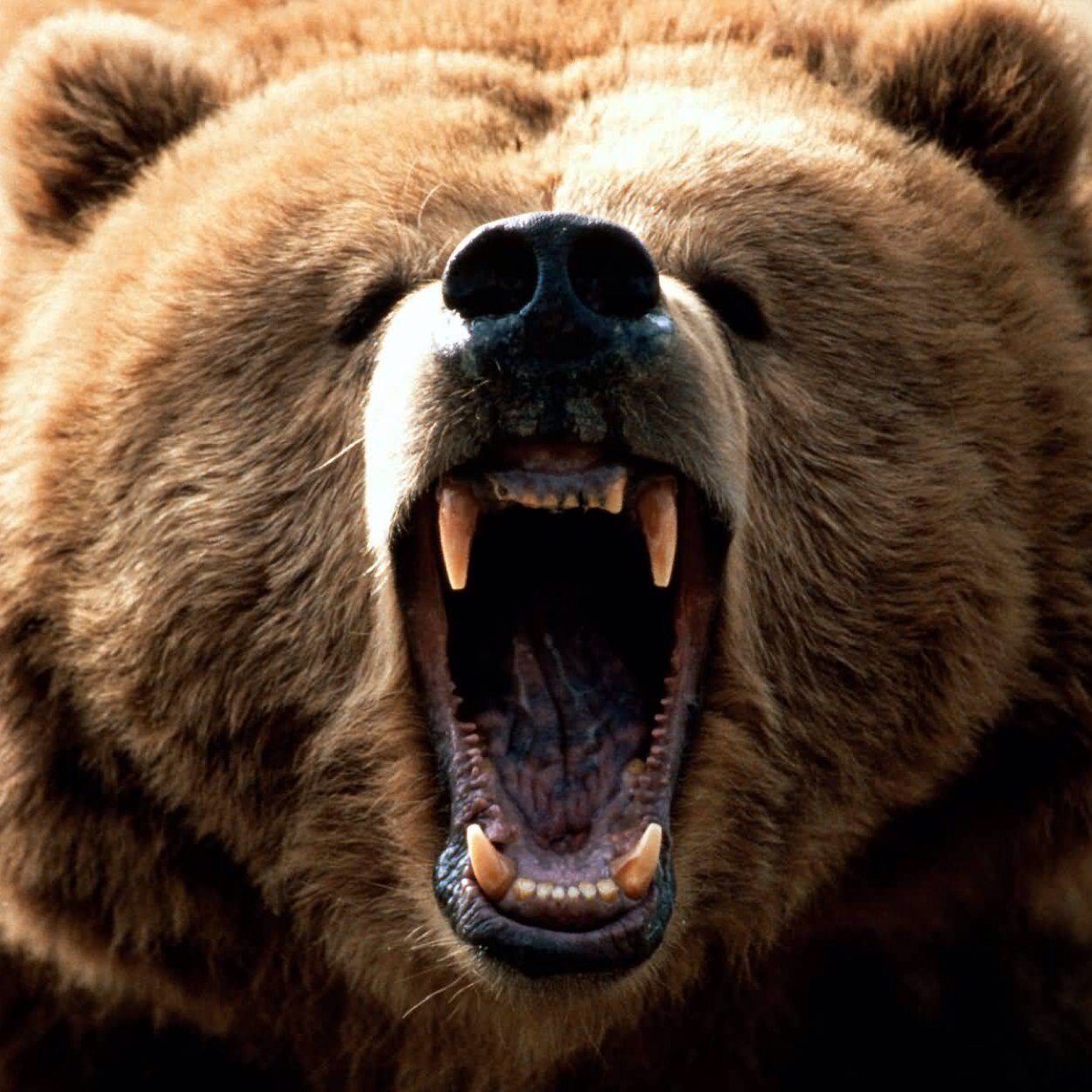 adamstyles's profile picture. I'm in a band but it's not hoobastank :(