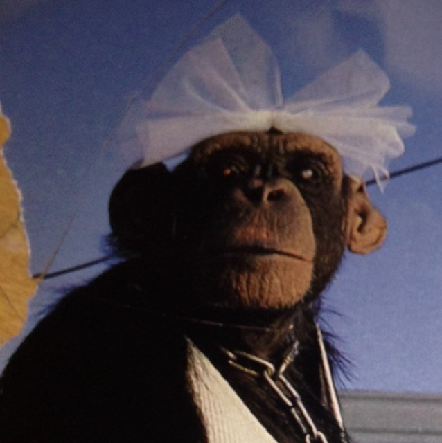 ultimate_mut27's profile picture. 