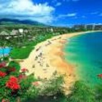 Bank Hawaii (@bankhawaii) Twitter profile photo
