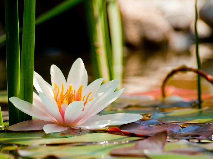 Come relax and get a massage by any of our licensed massage therapists.
