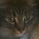 Sue Peck - @SuePeck18 - Twitter