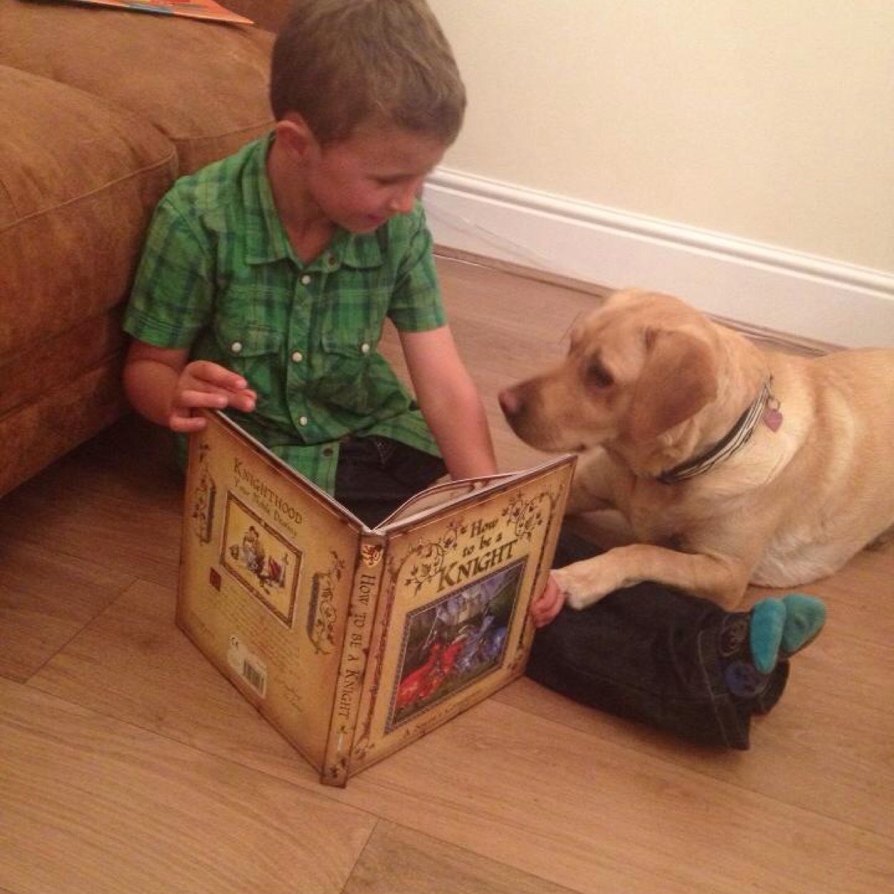 lillytheDHKdog's profile picture. I love my job! Working in a special ebd school helping improve literacy and learning. I give hope, love and bring smiles to children that struggle every day.
