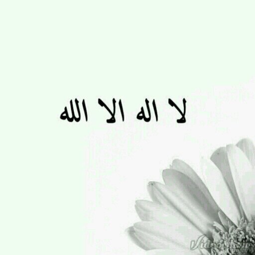 حساب صدقه جاريه /لمتعب محمد المطوع الله يرحمه.