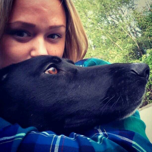 kernal_kay's profile picture. Certified Professional Dog Trainer, Bigfoot believer and nap enthusiast.