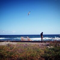 🤔🤔🤔🤔🤔🤔🤔🤔 (@nh76g) 's Twitter Profile Photo