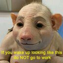 debbie obrien - @DeDebbiemersey - Twitter