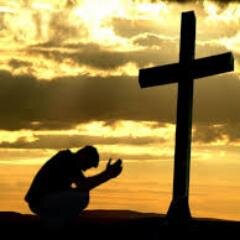 RELIGIONSFP's profile picture. Catholics with a new idea of the Bible