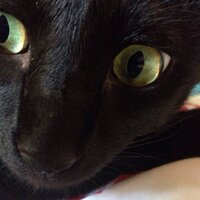kafka (@kafka828) 's Twitter Profile
