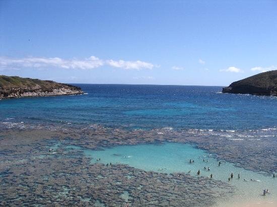 gratmsgoolad's profile picture. 