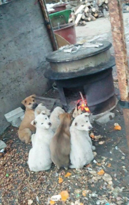 즐기며 살자