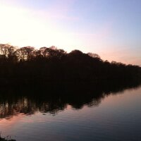 R Tan (@rjpt2010) 's Twitter Profile
