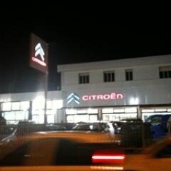 fllinani's profile picture. 