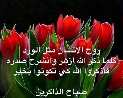 وجعلتك أميرة لحروفي ،،تعزف لك،،وتطرب لإسمك.