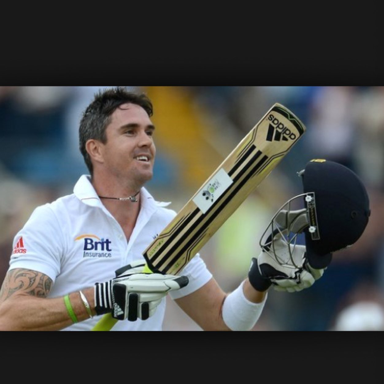 Massive cricket fan, all sports
