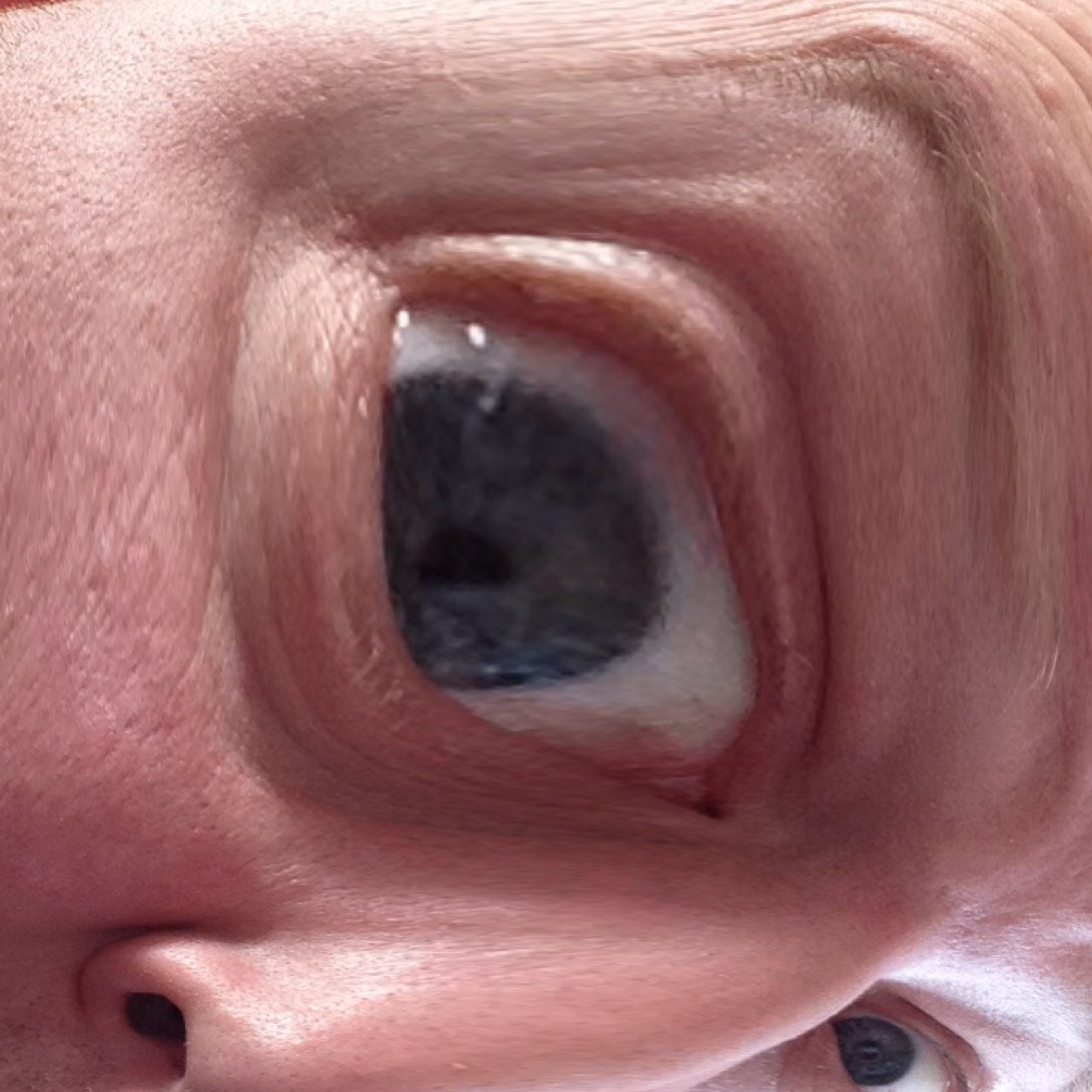 Serious_Sir's profile picture. Feuerwehr...ü 40...Papa....und nen bisschen bekloppt :-)