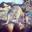 SydneyDesAnges's profile image