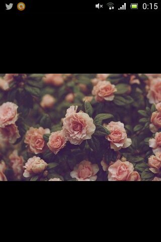 sara2810_'s profile picture. The best: ONE DIRECTION 1994 ~ Directioners as life style | Auryn | Justin Bieber | forever 1/12 |