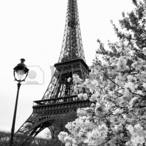 Lover's most treasured place , France . Join us and feel the romance under the Eiffel Tower . be a tourist , tour guide , florist or maybe even couples .