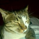 Christo Uys - @Christo0101 - Twitter