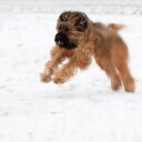 marie see - @Marieseechen - Twitter