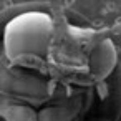 bio_teach_paper Profile Picture