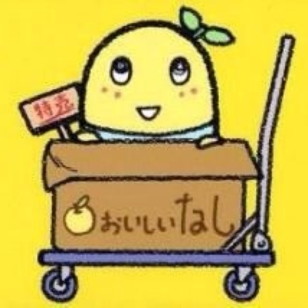 seitaro9's profile picture. ※初心者です