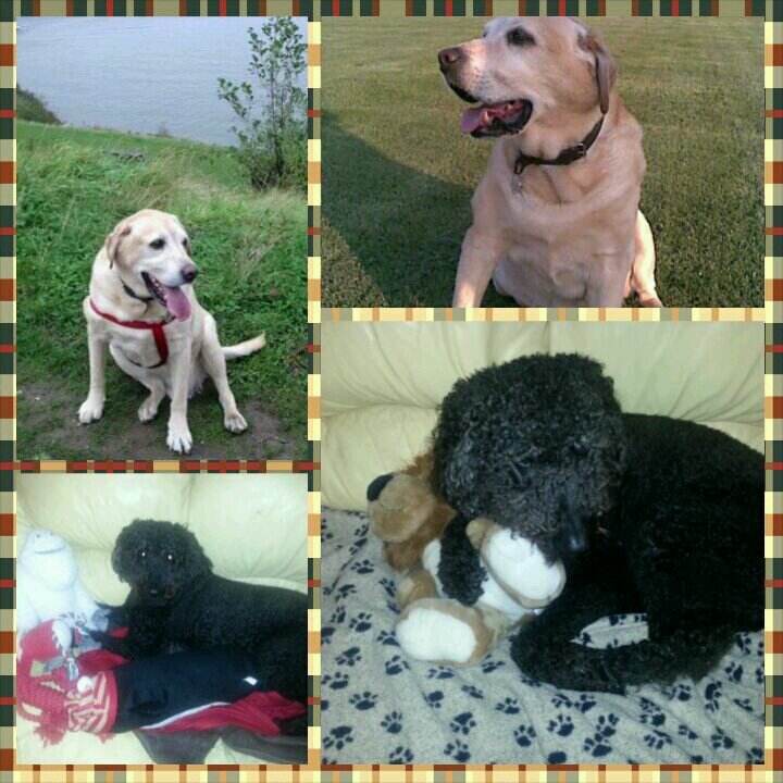 knight_jacky's profile picture. 