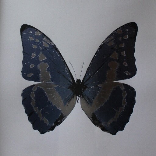 Specialising in Pop, YBA, and other interesting limited editions on paper. Comprehensive inventory held with a continuously changing selection.