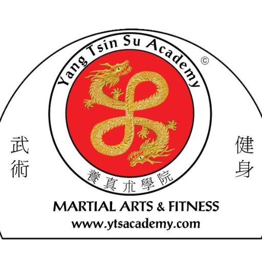 Yang Tsin Su is the Art of Maintaining Good Health. It is a Martial Art which encompasses three aspects of the whole person: Body, Mind & Energy.