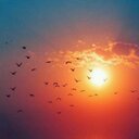 عيده . (@22_eidah) Twitter