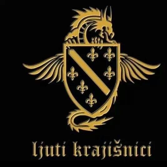 Službeni Tweeter profil reprezentativca BiH i igrača Sturm Graz Anela Hadžića
