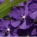 louie MARKS - @louie42394 - Twitter