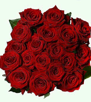 yofokoki's profile picture. 